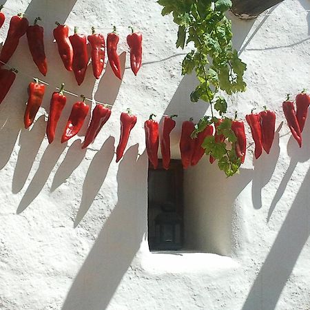 Hotel Rural Cortijo La Alberca Níjar Exteriör bild